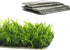 24 Pieces 3.1X3.1in Aquarium Moss Mesh, 304 Stainless Steel Aquatic Moss Wall for DIY Filtration and Aquascaping