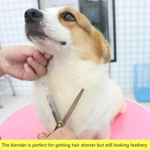 HASHIMOTO Thinning Shears for Dogs | 46 Teeth, 7.0 inch | 30% Thinning Rate | Lightweight and Balanced