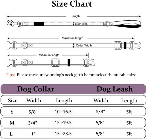 Ovale Waterproof Dog Collar and Leash Combo Set, Durable and Easy to Clean for Small Dogs (S, Light Green)