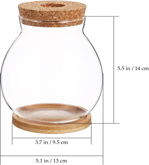 POPETPOP Round Small Fish Bowl, 5.11 x 5.50 Inch Glass Betta Fish Tank with Wood Stopper