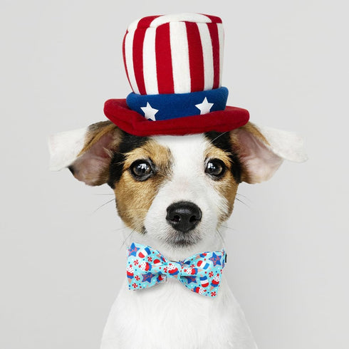 Maca Bates American Flag 4th of July Dog Collar with Bow Bowtie - Adjustable Breakaway Patriotic Accessories