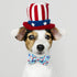 Maca Bates American Flag 4th of July Dog Collar with Bow Bowtie - Adjustable Breakaway Patriotic Accessories