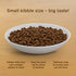 Rachael Ray Nutrish Zero Grain Natural Dry Cat Food, Chicken & Potato Recipe, 3 Pounds, Grain Free