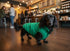 ASENKU Waterproof Windproof Dog Winter Coat, Warm Snowproof Puffer Vest for Small Medium Large Dogs, Green M