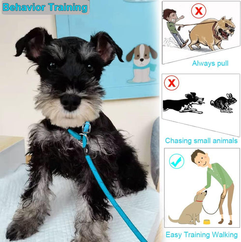 BTINESFUL Anti-Choke Slip Lead Dog Leash - 10FT / 15FT / 20FT Reflective Rope for Small Medium Dogs, Blue