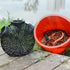 12.20X10.62X3.93 Inch Portable EEL Basket Lightweight Crab Shrimp Lobster Fishing Trap Bait Net Easy to Use Durable