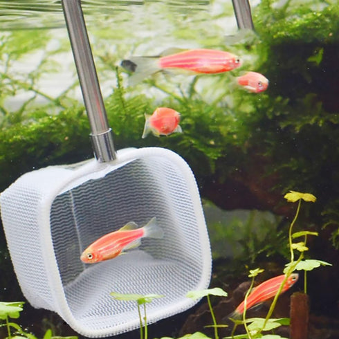 2pcs Angoily Extendable Handle Shrimp Nets Square Fine Mesh Aquarium Fishing Nets for Fish Tank and Shrimp Catching