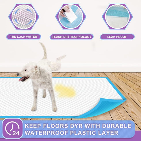IMMCUTE Puppy Pee Pads 22"x23"-150 Count - Super Absorbent & Leak-Proof Disposable Pet Piddle and Potty Pads for