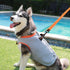 Truelove Dog Cooling Vest Harness Cooler Jacket - Adjustable Zipper for Outdoor Hunting Training and Camping, Small