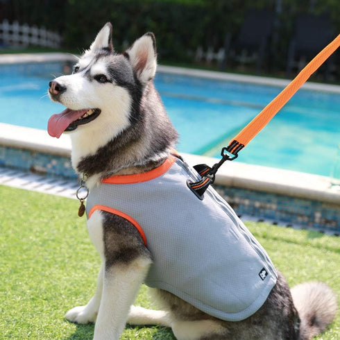 Truelove Dog Cooling Vest Harness Cooler Jacket with Adjustable Zipper for Outdoor Hunting, Training, Camping X-Large
