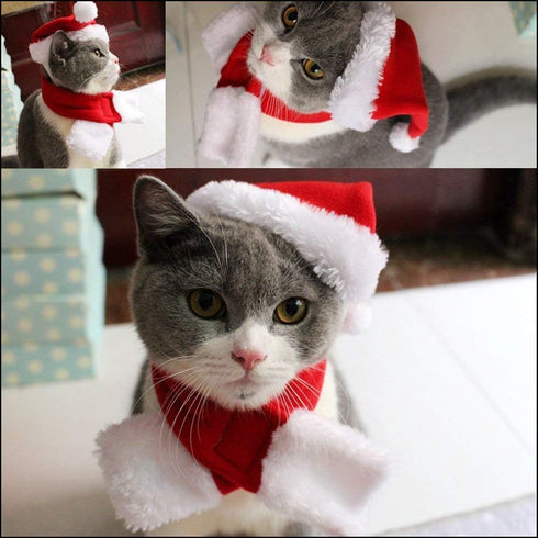 Yahpetes Dog Cat Pet Santa Hat - 4 Pcs Christmas Santa Claus Hat, 5.5"X7.8" for Puppy, Kitten, Small Dogs