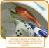 Toddmomy 2pcs Ceramic Floating Fish, Aquarium Goldfish Koi Fish Figurines for Fairy Garden, Pond, Underwater Decor