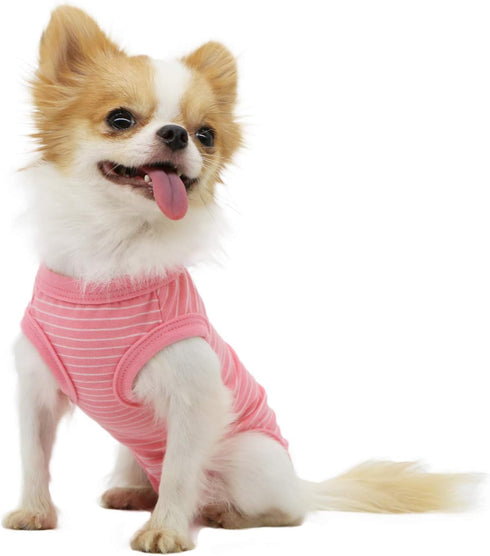 LOPHIPETS Girl Dog Shirts Pajamas for Small Dogs - Pink Strips for Pomeranian, Maltese, Toy Poodle