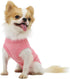 LOPHIPETS Girl Dog Shirts Pajamas for Small Dogs - Pink Strips for Pomeranian, Maltese, Toy Poodle