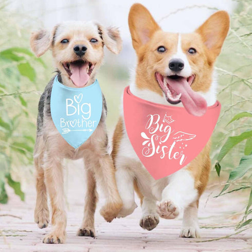2 Pack Big Sister Big Brother Dog Bandanas, Adjustable Double Sided Pet Bandana for Pregnancy Announcement, Triangle