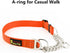 Plutus Pet Martingale Dog Collar with Stainless Steel Chain, Adjustable No Pull Training Collar for Small Medium Large
