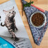 Nulo Freestyle Adult Trim Cat Food: Grain-Free Small Bite Kibble with BC30 Probiotic