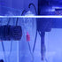 Ailindany Aquarium Air Oxygen Bubbler - Glass Cup with Water Tube and Sucker Air Stone for High Dissolved Oxygen