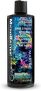 Brightwell Aquatics MicroBacter Start XLM, Concentrated Freshwater Nitrifying Bacteria, Aquarium Water Treatments