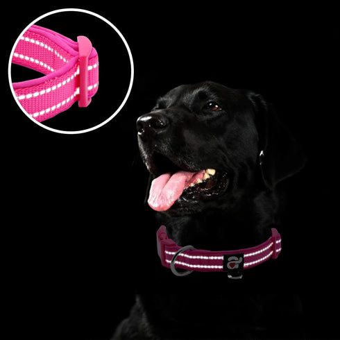 Azuza Soft Neoprene Padded Reflective Dog Collar with ID Tag Ring, Adjustable for Large Dogs, Hot Pink, L
