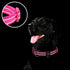 Azuza Soft Neoprene Padded Reflective Dog Collar with ID Tag Ring, Adjustable for Large Dogs, Hot Pink, L