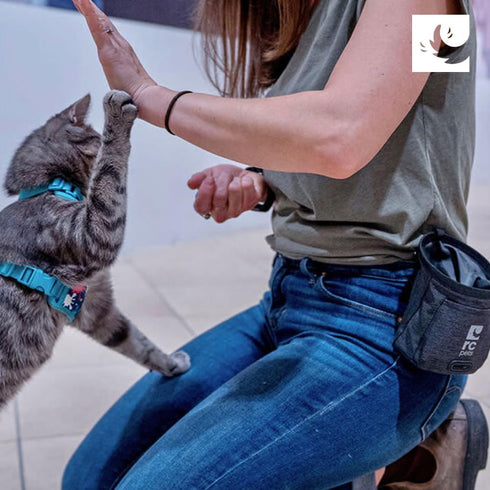 Versatile, Convenient, Compact Essential Treat Bag by RC Pet Products | Multi-Stripes