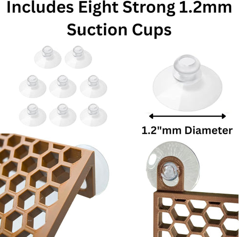 (2-Pack) Hermit Crab Climbing Ladders | Hermit Crab Tank Enrichment Decor | Decoration Accessories Supplies Toys