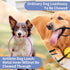 Chew Proof Dog Leash Extension,Support add to Any Leash & Collar & Harness,Dog Lead Extender for Large and Medium Dogs Walking Running and Training