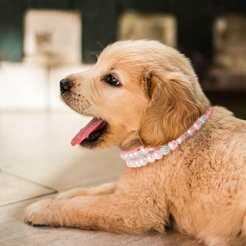 KUDES Small Dog Cat Pearl Collars with Crystal Rhinestone Diamond Décor, Adjustable Fashion PU Leather for Small Pets