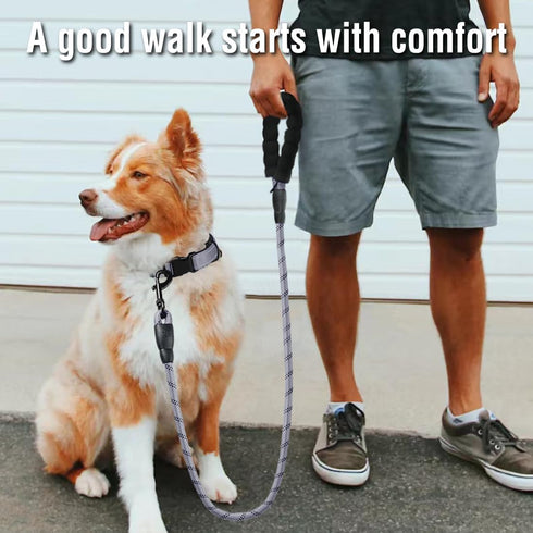 COOYOO Dog Leash 5/6 FT with Highly Reflective Threads and Comfortable Padded Handle for Medium Large Dogs