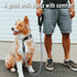 COOYOO Dog Leash 5/6 FT with Highly Reflective Threads and Comfortable Padded Handle for Medium Large Dogs