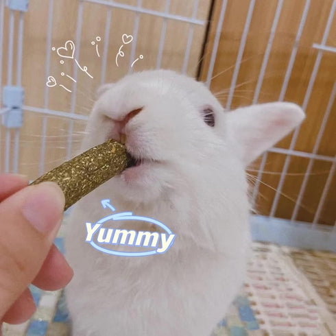 20 Chinchillas Grddaef PCS Bunny Chew Toys for Teeth, Natural Rabbit Toys Apple Wood Grass Timothy Sticks Chew