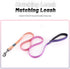 Reflective Dog Collar and Leash Set, Adjustable Purple Martingale Collar and Leash for Medium Dogs, Durable Nylon