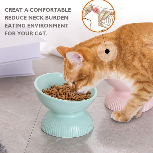 Raised Cat Food Bowls Ceramic, Tilted Elevated Bowls Anti Vomiting, 4.9 in Small Cat Bowl for Dry Wet Food, 4oz