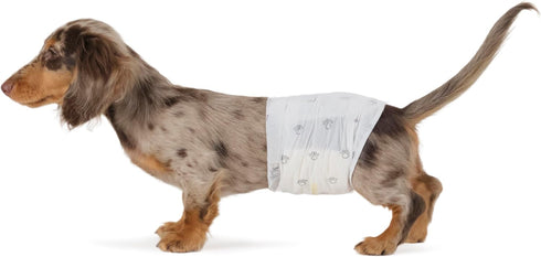 Amazon Basics Absorbent, Leakproof Male Dog Wrap Disposable Diapers with Wetness Indicator,