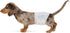 Amazon Basics Absorbent, Leakproof Male Dog Wrap Disposable Diapers with Wetness Indicator,