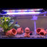 Fish Tank Decorations - Ceramic Pot Cave Aquarium Accessories for Fighting Fish, Shrimp, Cichlids to Play, Breed, Hide,