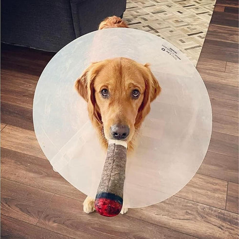Funny Plush Squeaky Dog Toy - Nestpark Doggy Doobie for All Sizes
