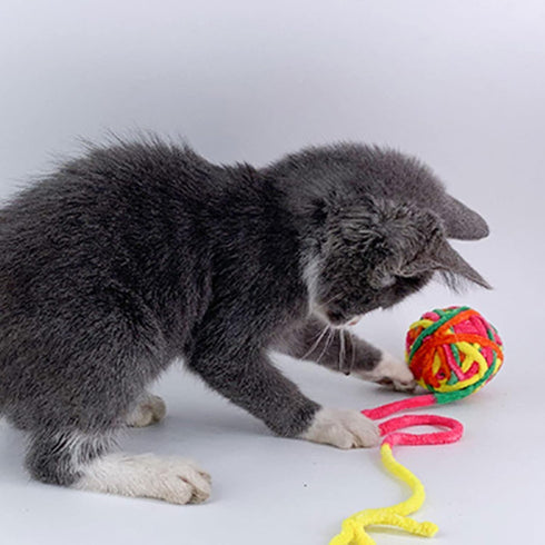 NexusPulse 1.97 inch, Interactive Cat Ball Toy with Yarn, Colorful Chewing Toy for Kitten Training, Indoor Pet Supplies