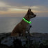 LED Dog Collar - HIGO Light Up Dog Collars, USB Rechargeable Necklace Light for Dogs Walking at Night