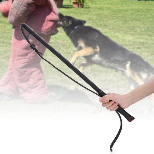 Pssopp Cowhide Dog Agitation Whip, Dog Teaser Wand for Pulling, Chasing, Chewing, Teasing, Outdoor Training