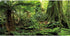 AWERT 48x20 inches Forest Terrarium Background, Huge Tree Reptile Habitat, Tropical Rainforest Durable Polyester