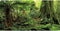 AWERT 30x18 inches Forest Terrarium Background – Stone Green Huge Tree Reptile Habitat Background for Tropical