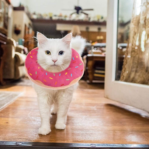 BINGPET Cute Donut Recovery Collar for Cats and Puppies, Soft Adjustable Protective E Collar After Surgery