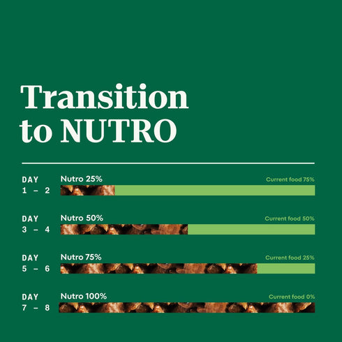NUTRO HEARTY STEW Chunky Beef, Tomato, Carrot & Pea Stew, Adult Natural Grain Free Wet Dog Food, (12) 12.5 oz Cans
