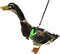 Chicken Harness Hen Size with 6-foot Matching Belt - Adjustable, Comfortable, Breathable, Small Size for Chicken, Duck