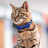 Rhea Rose Dog Collar with Bow Tie, Soft Durable Gift for Girl or Boy, Blue Dot Small