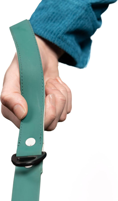 Designer Waterproof Dog Leash, Unique Colors with Locking Carabiner Clip & 2 Handles, 6FT Long, Dirt-Resistant