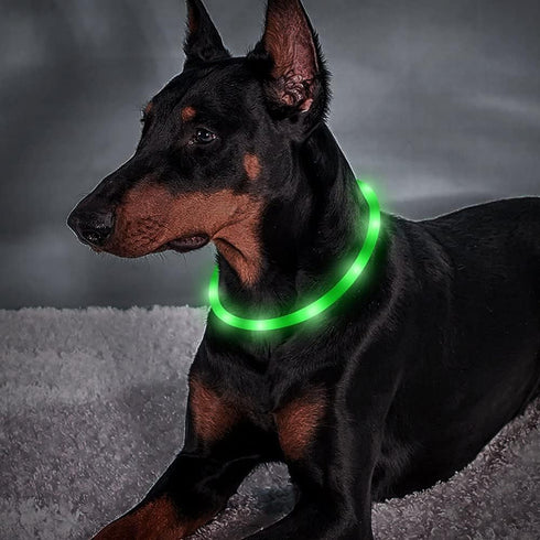 BSEEN Light Up Dog Collars, Silicone LED Dog Collar, Cuttable Lighted Puppy Collar for Small Medium Large Dogs