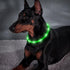 BSEEN Light Up Dog Collars, Silicone LED Dog Collar, Cuttable Lighted Puppy Collar for Small Medium Large Dogs